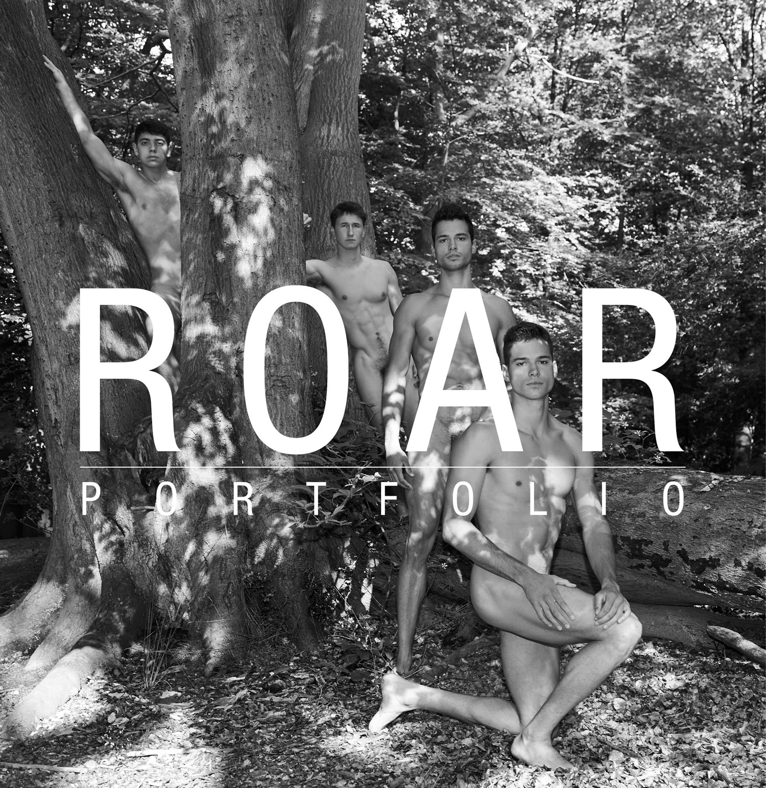WR20 Roar Portfolio and Film Collection